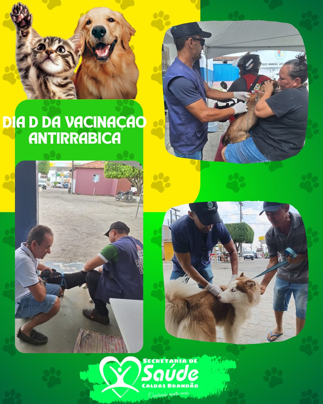 CALDAS BRANDÃO REALIZA DIA D DE VACINAÇÃO ANTIRRÁBICA